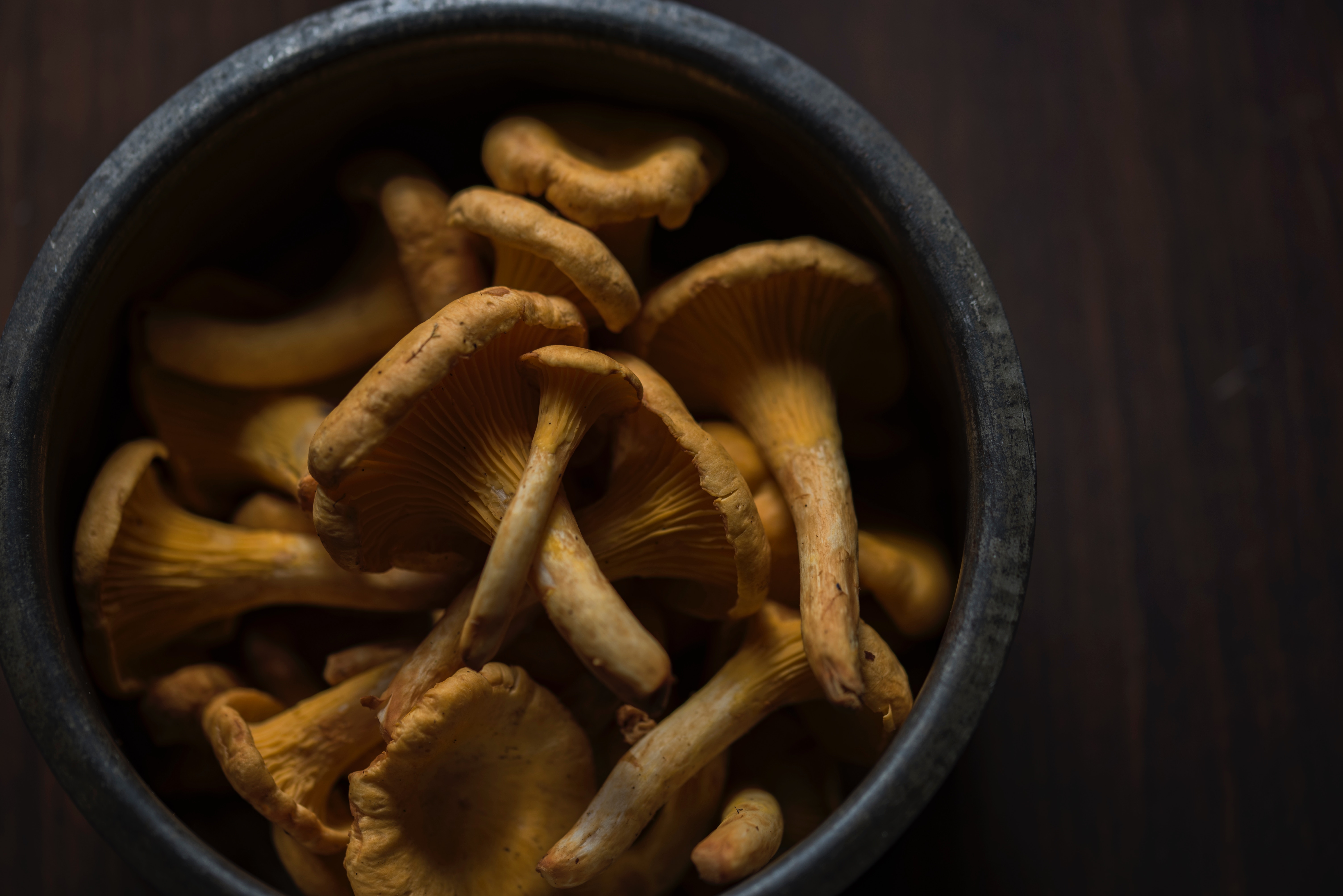 Mushroom to Grow in Murole, Uganda