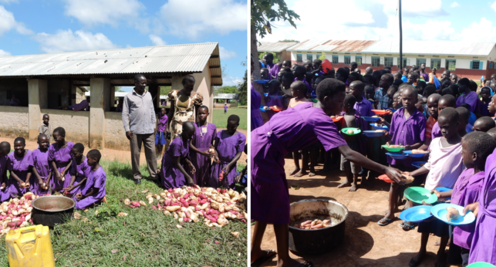 sweet potatoes, thanksgiving, nonprofit, orphan relief, poverty relief