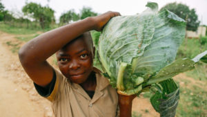 A boy in Eswatini holds a ginormous cabbage