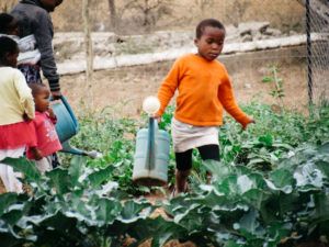 A young girl in Eswatini carries a large watering can
