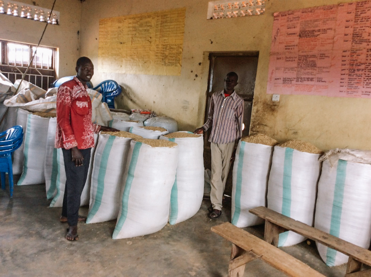 Men in Uganda stand next to bags of rice