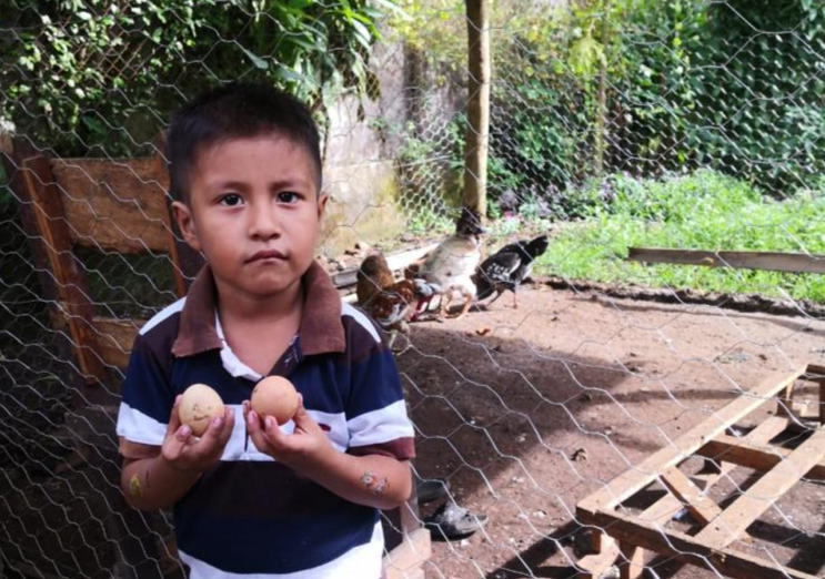 small boy in Guatemala holding eggs