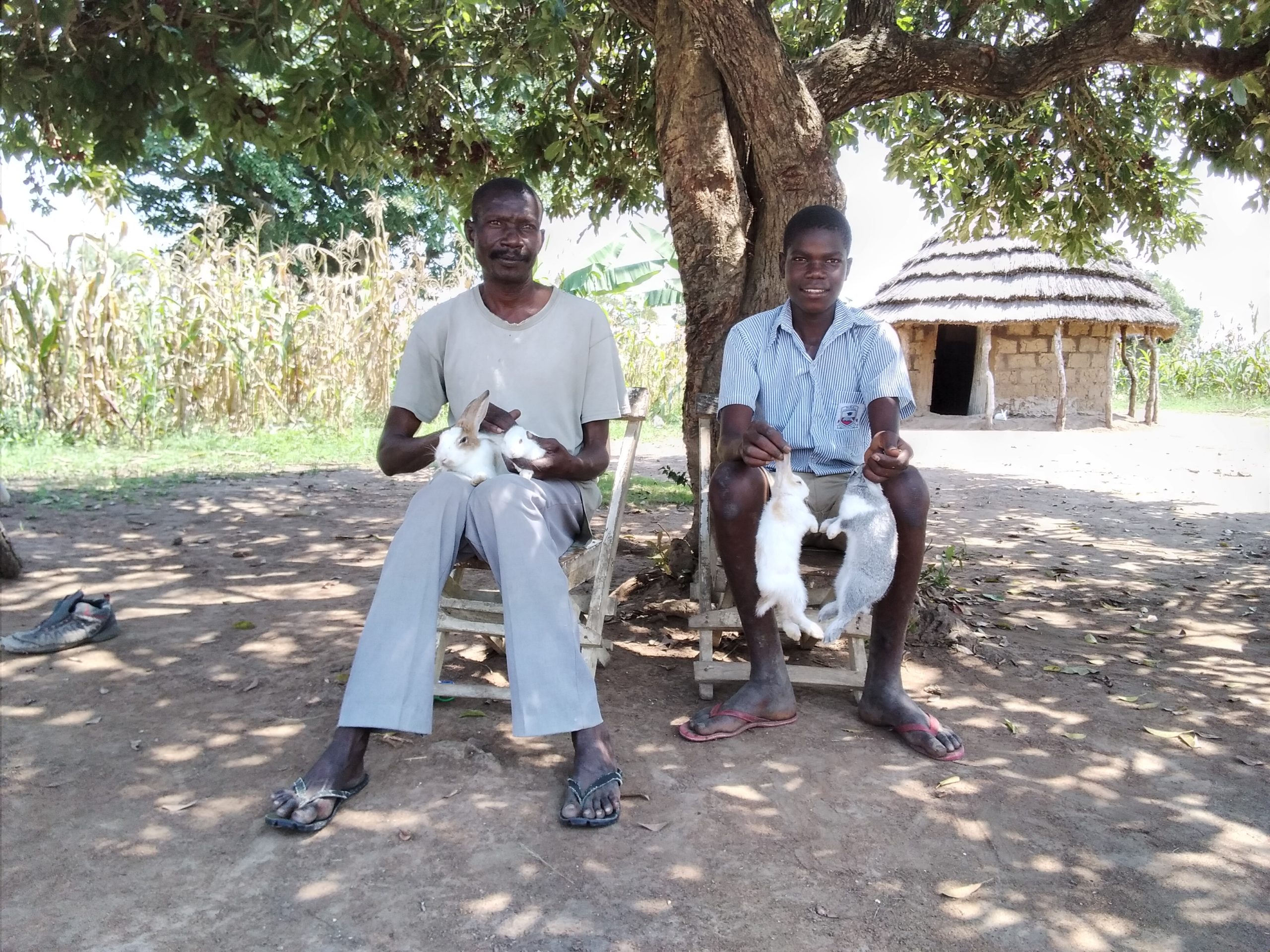 A man and boy sit under a tree, both holding rabbits.