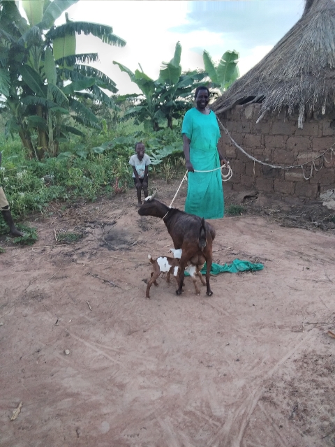A woman in green stands outside her hut with two brown goats.