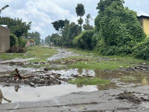 Run 2025 Team Shone Yehiwot 1