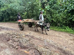 Run 2025 Team Shone Yehiwot 3