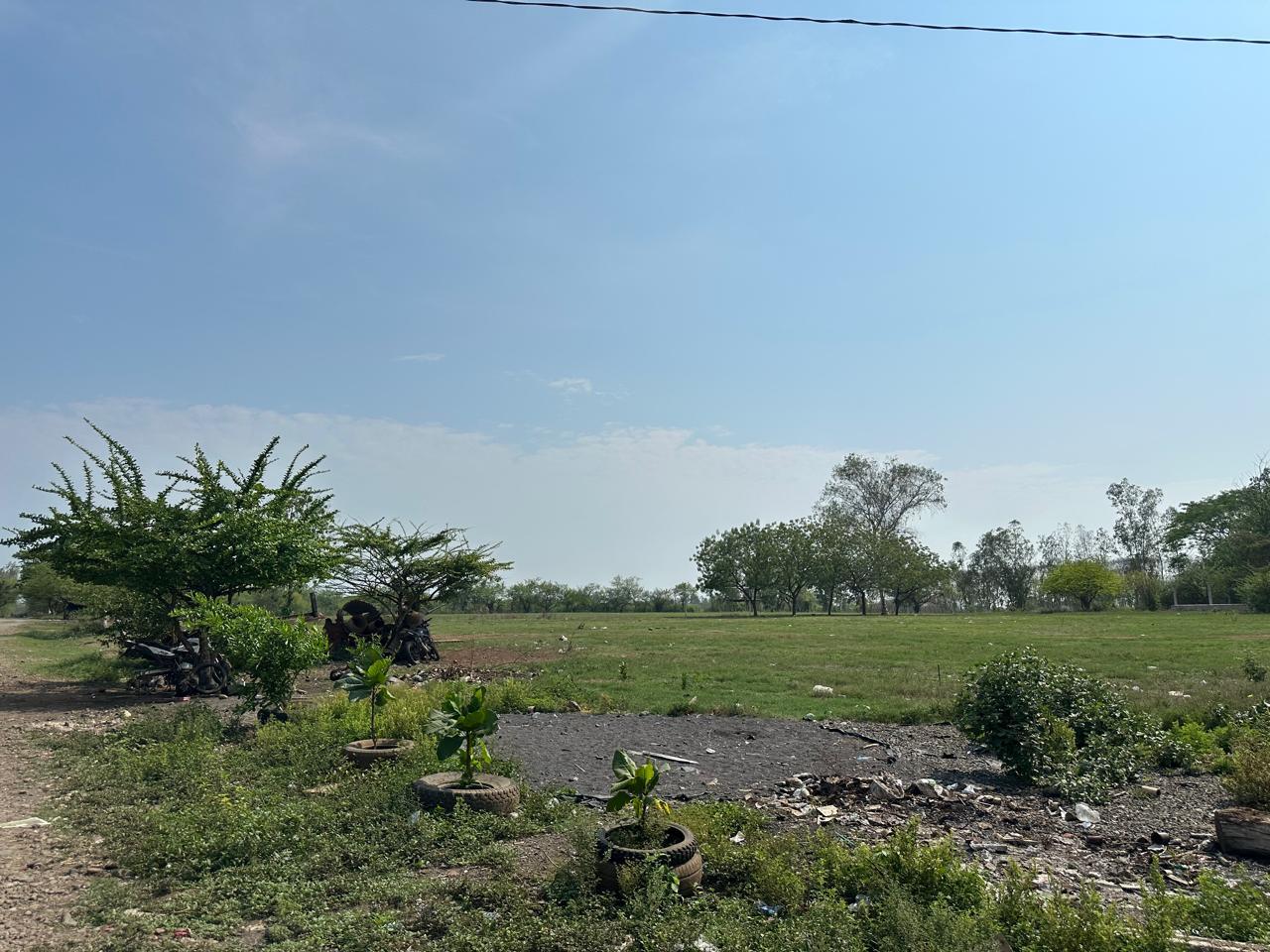 el paraiso landscape