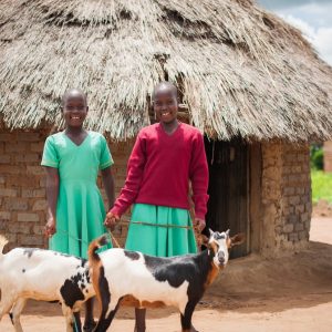 Bukedea-Uganda-CHC-2015-49 Bukedea-Uganda-CHC-2015-49