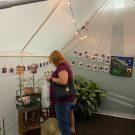 IMG_5344 IMG_5344