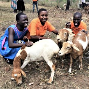 Orphans_of_Teso2 Orphans_of_Teso2