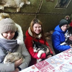 kostroma-dog-sledding-field-trip-2 kostroma-dog-sledding-field-trip-2