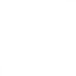 white_square white_square