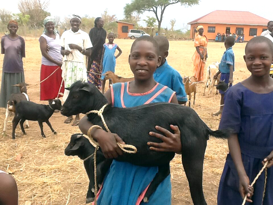 Goats for Ogoloi CarePoint