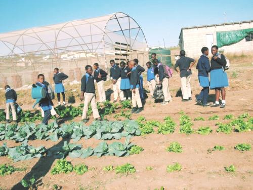 Gardens at CarePoints