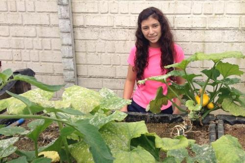 Hydroponics in Guatemala