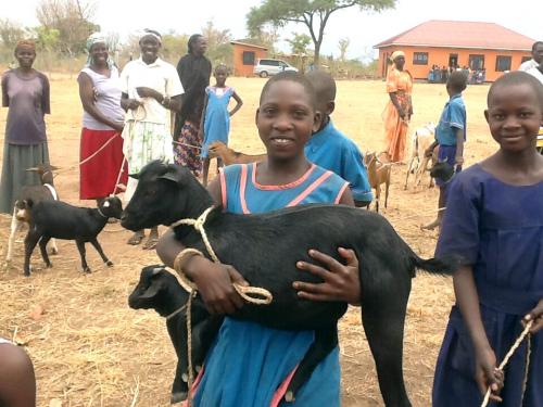 Goats for Ogoloi CarePoint